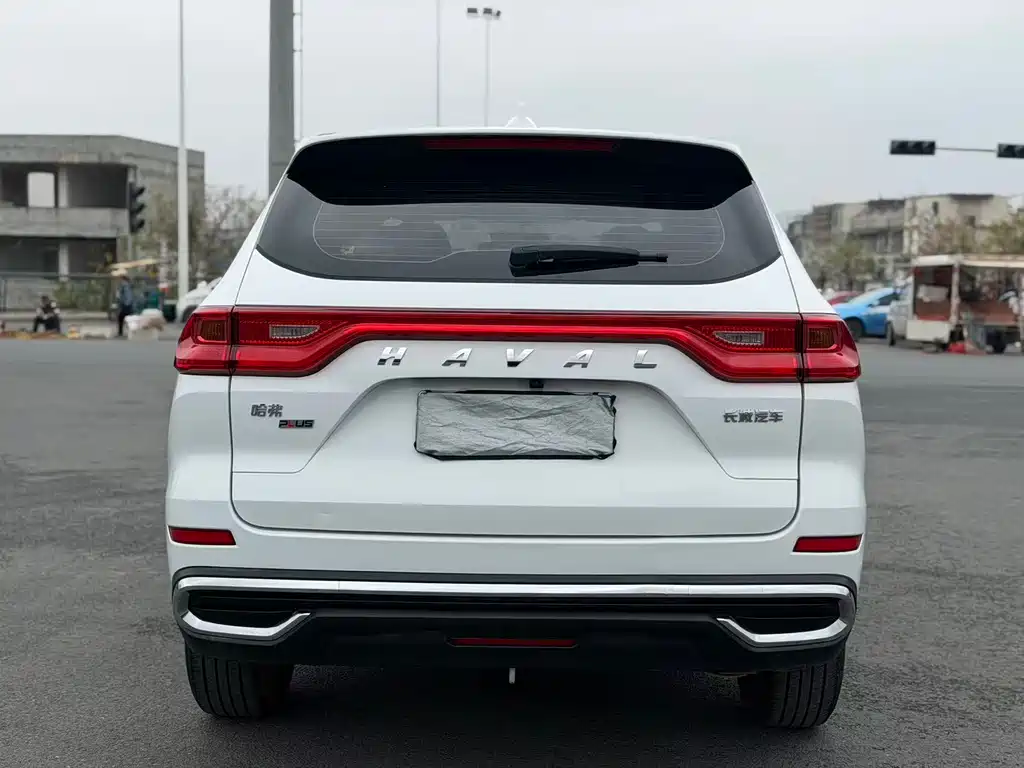 HAVAL M6