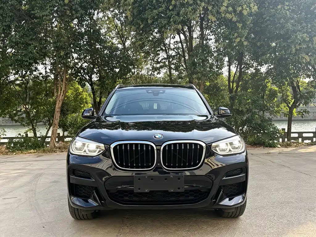 BMW X3 — миниатюра 2