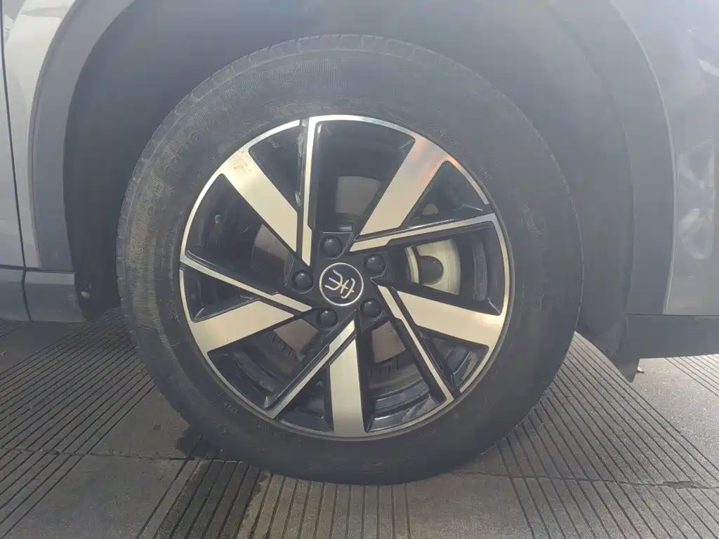 BYD Pro New Energy — миниатюра 25