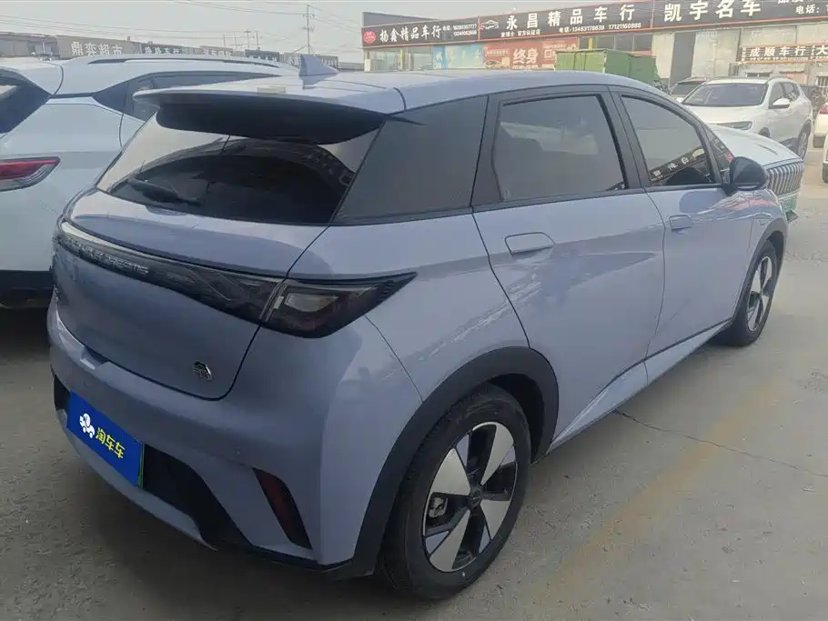 BYD Dolphin 2023 420km Fashion
