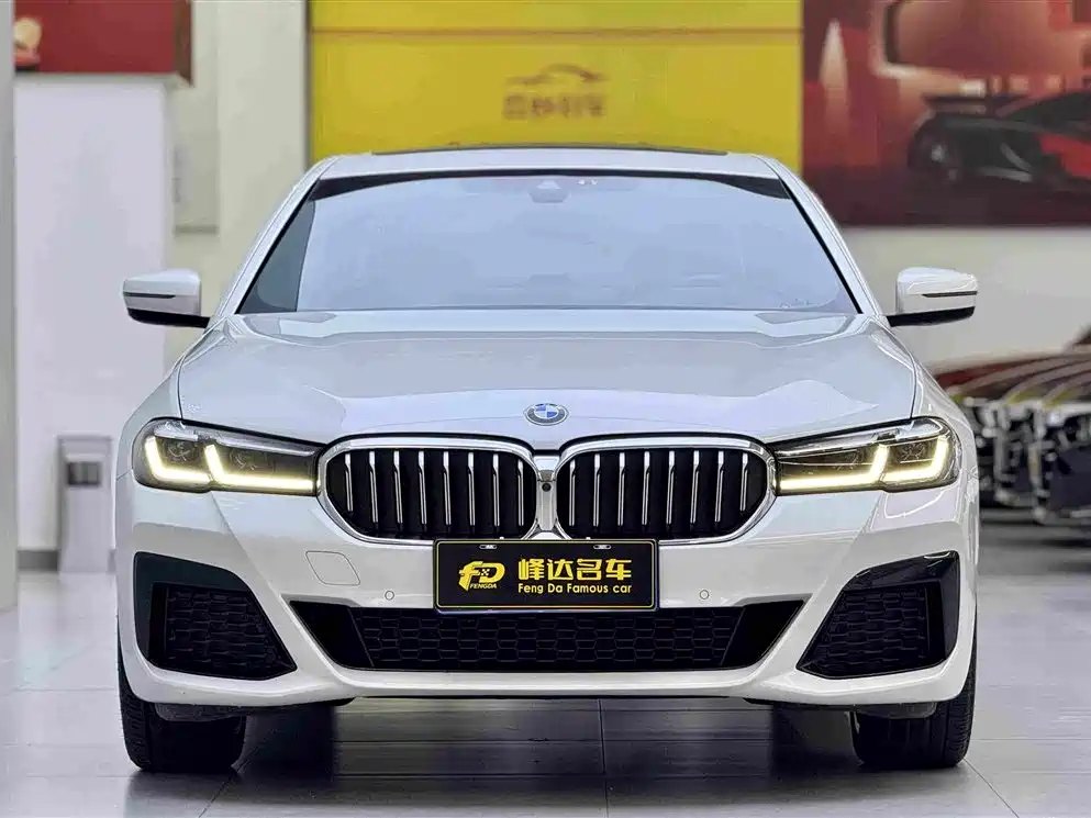 BMW 5 Series 5 2022 530Li Premium M Sport