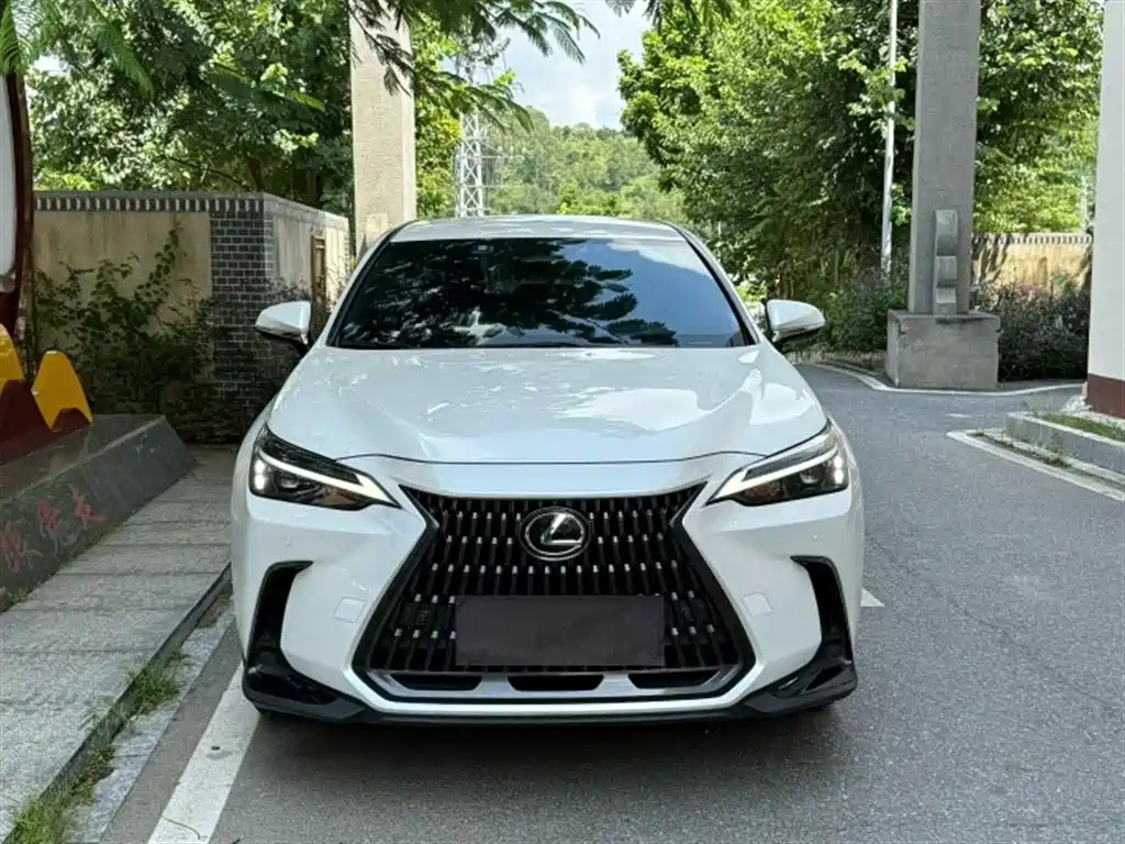 Lexus NX — миниатюра 2