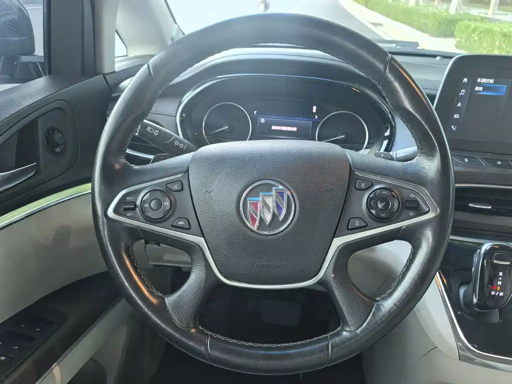 Buick GL8 — миниатюра 18