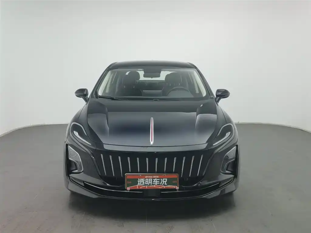 Hongqi HONGQI E QM5
