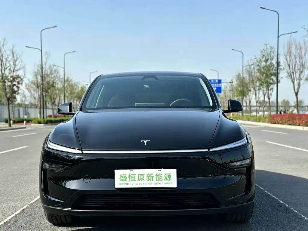 Tesla Model Y — миниатюра 2
