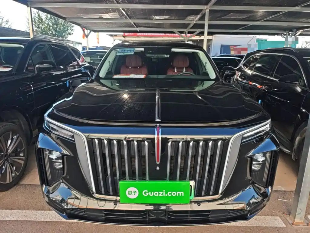 Hongqi Hongqi E-HS9 — миниатюра 3