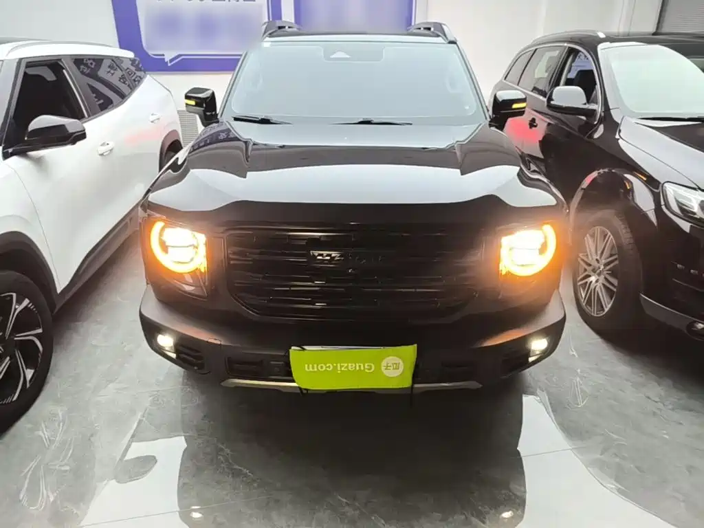 Haval Big Dog — миниатюра 3