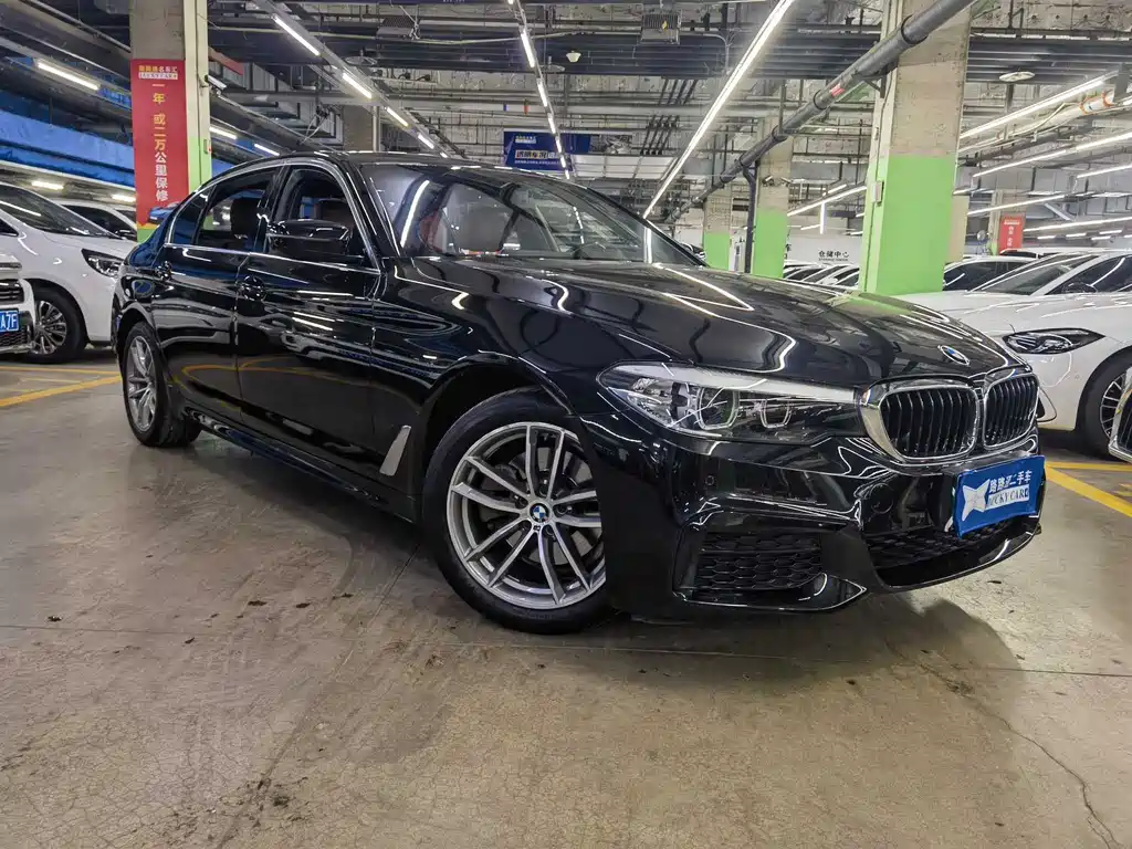 BMW 5 SERIES