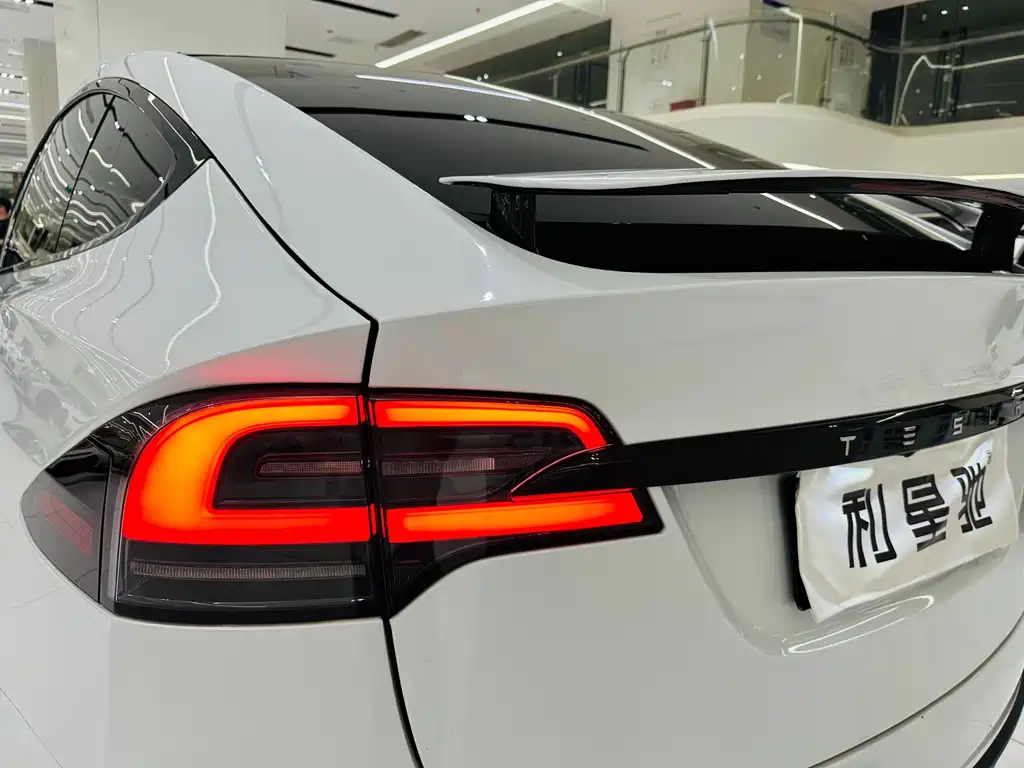 Tesla Model X — миниатюра 14