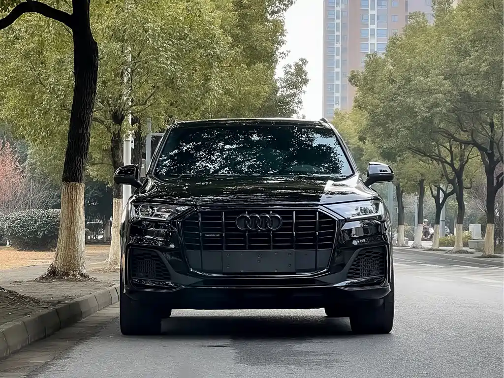 Audi Q7 — миниатюра 3