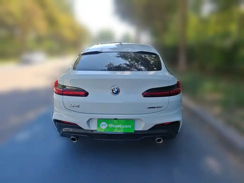 BMW X4 — миниатюра 5