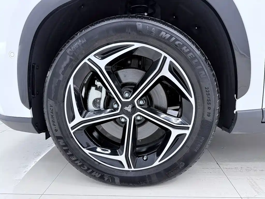 Neta Neta L — миниатюра 17