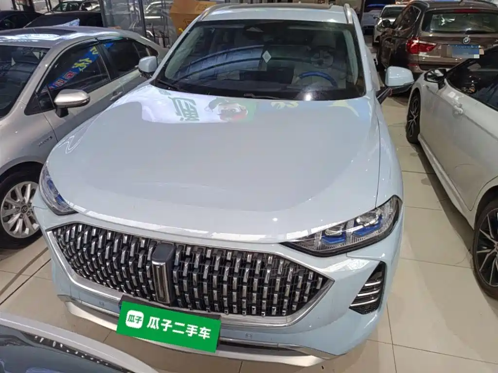 WEI PAI WEI BRAND MOCHA