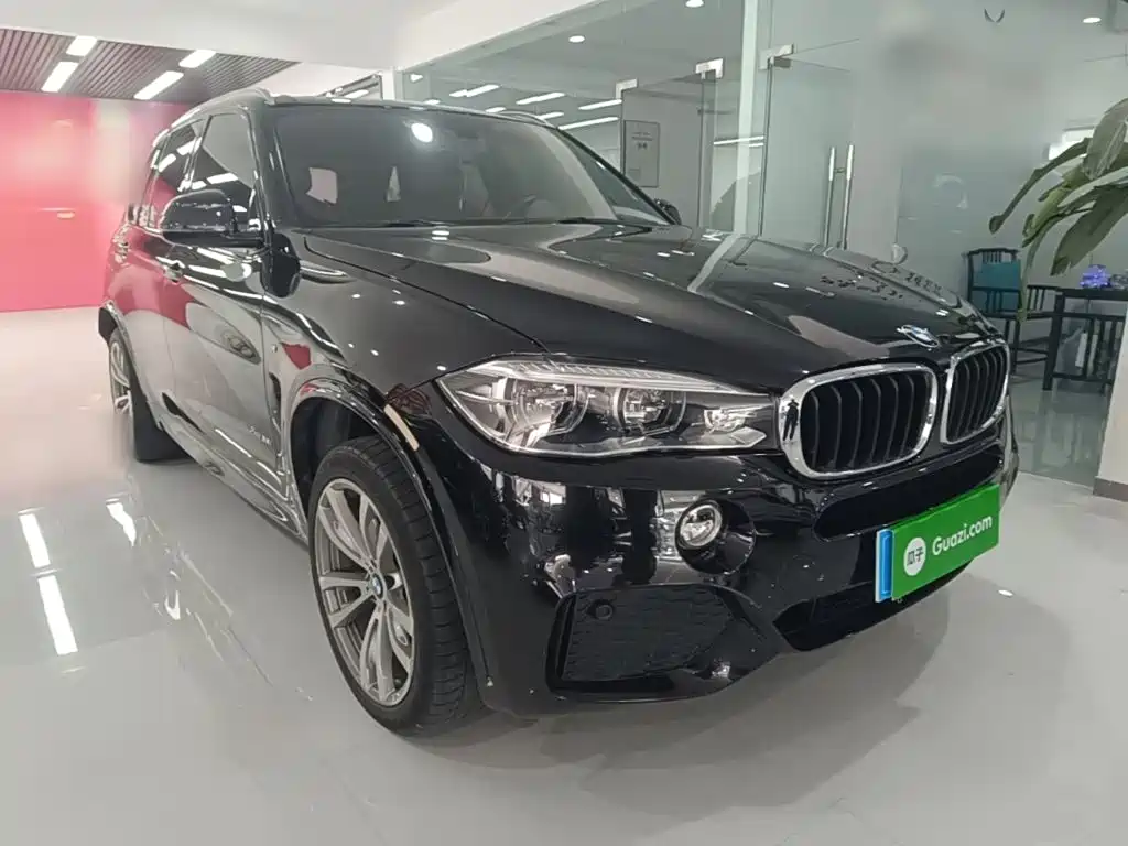 BMW X5 (Import) — миниатюра 4