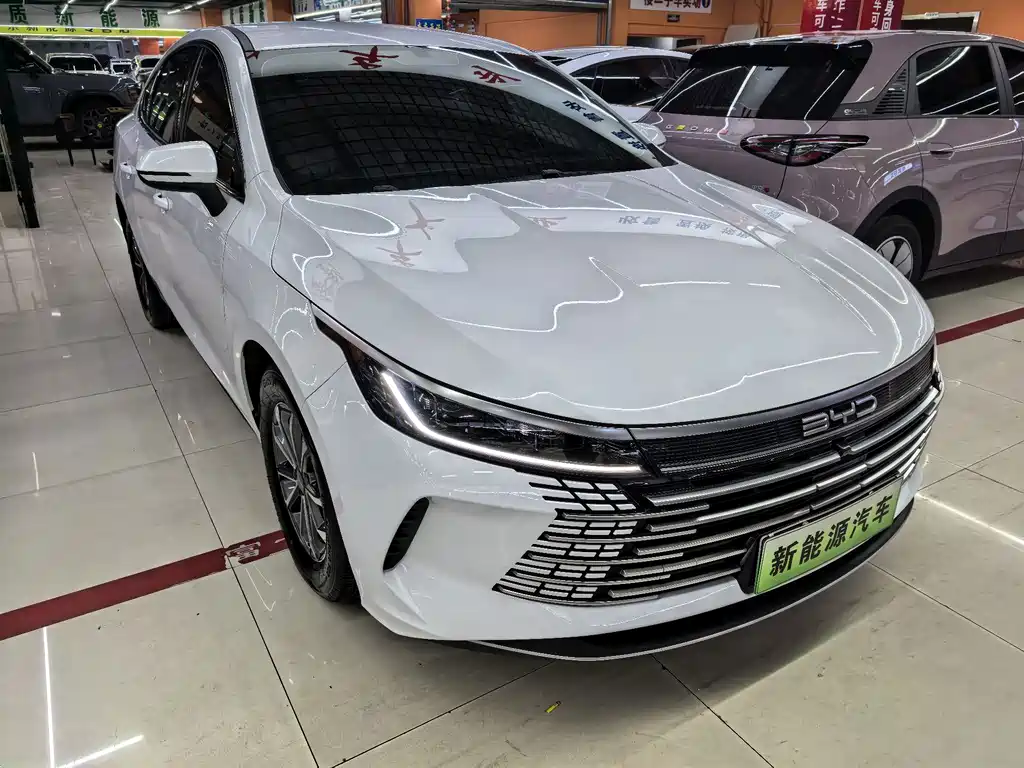 BYD Destroyer 05 — миниатюра 3