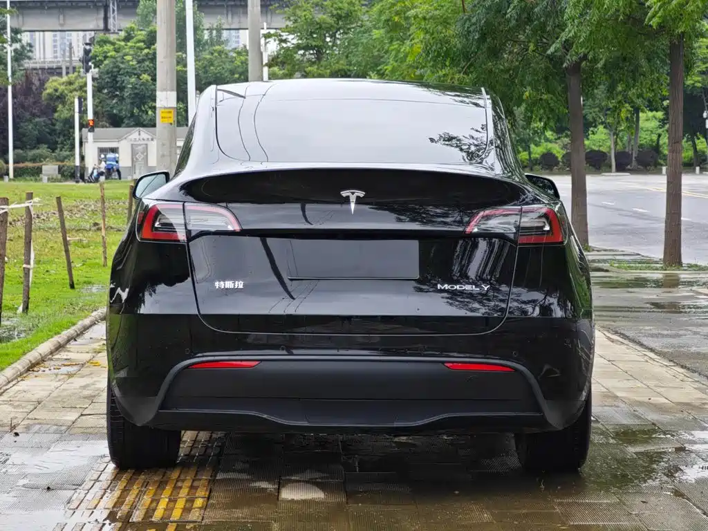 Tesla Model Y — миниатюра 6