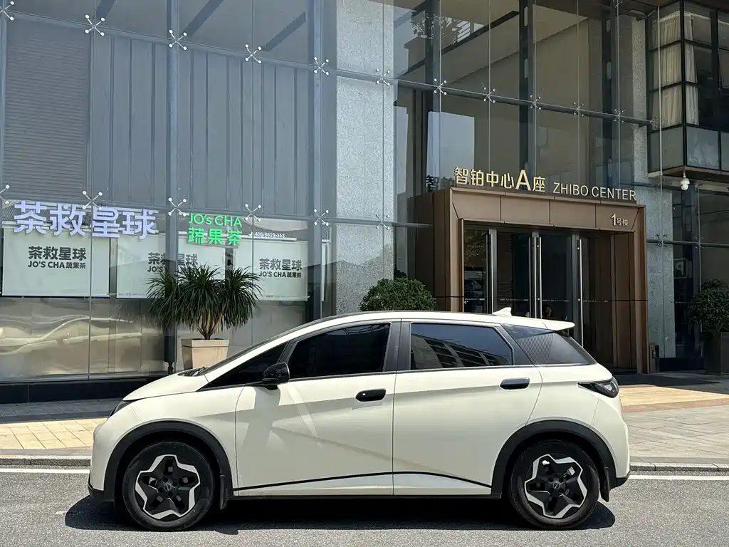 BYD Dolphin — миниатюра 4