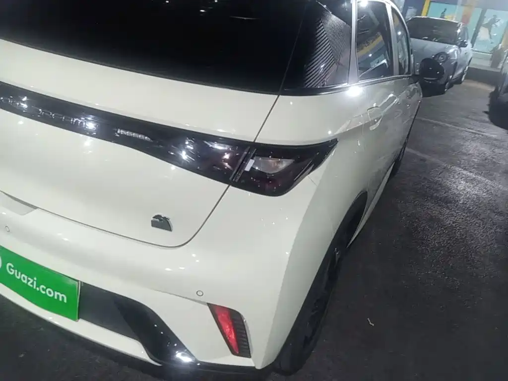 BYD Dolphin — миниатюра 8
