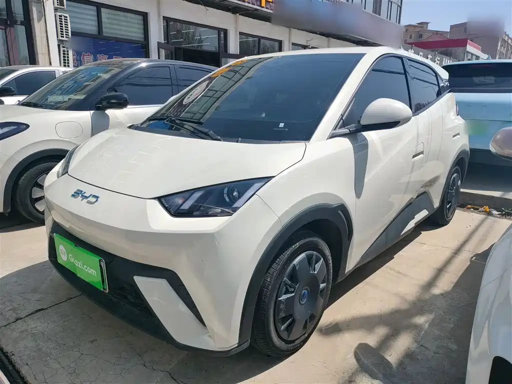 Byd Seagull 2025