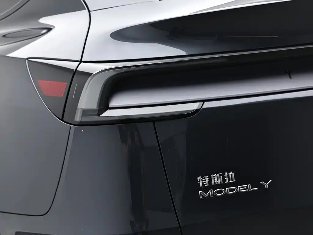 Tesla Model Y — миниатюра 9