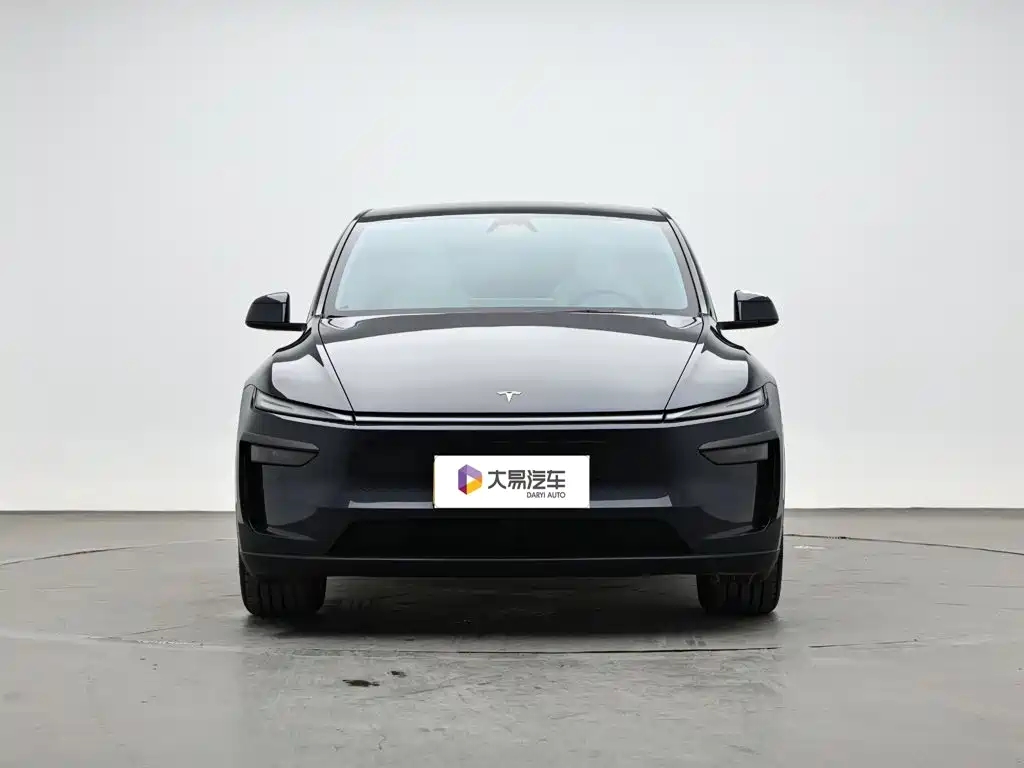Tesla Model Y — миниатюра 2