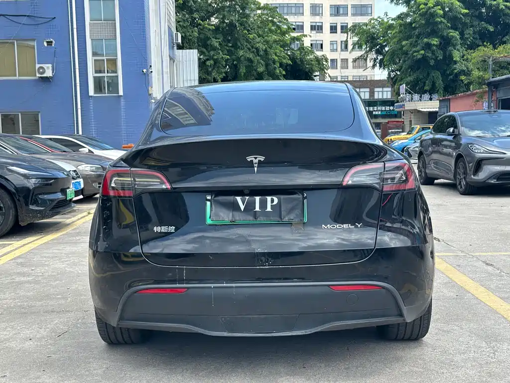 Tesla Model Y — миниатюра 8