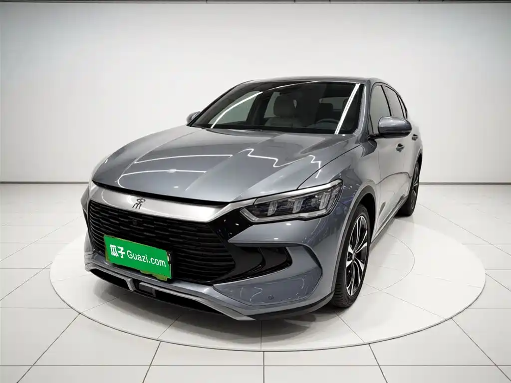 Byd Pro New Energy 2024