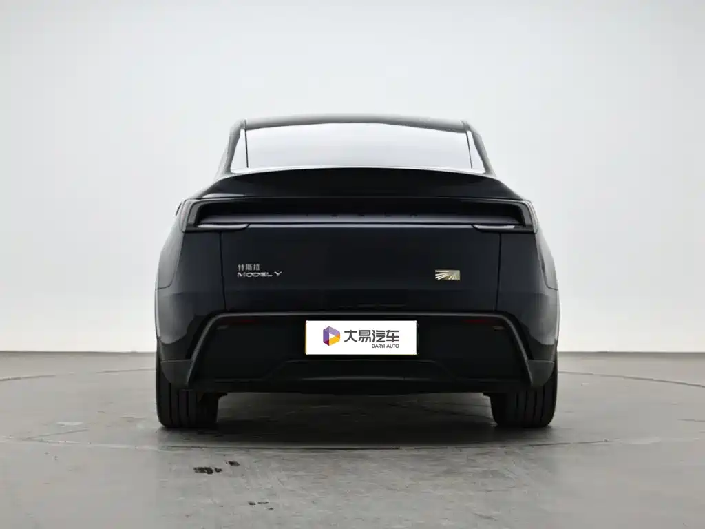 Tesla Model Y — миниатюра 4
