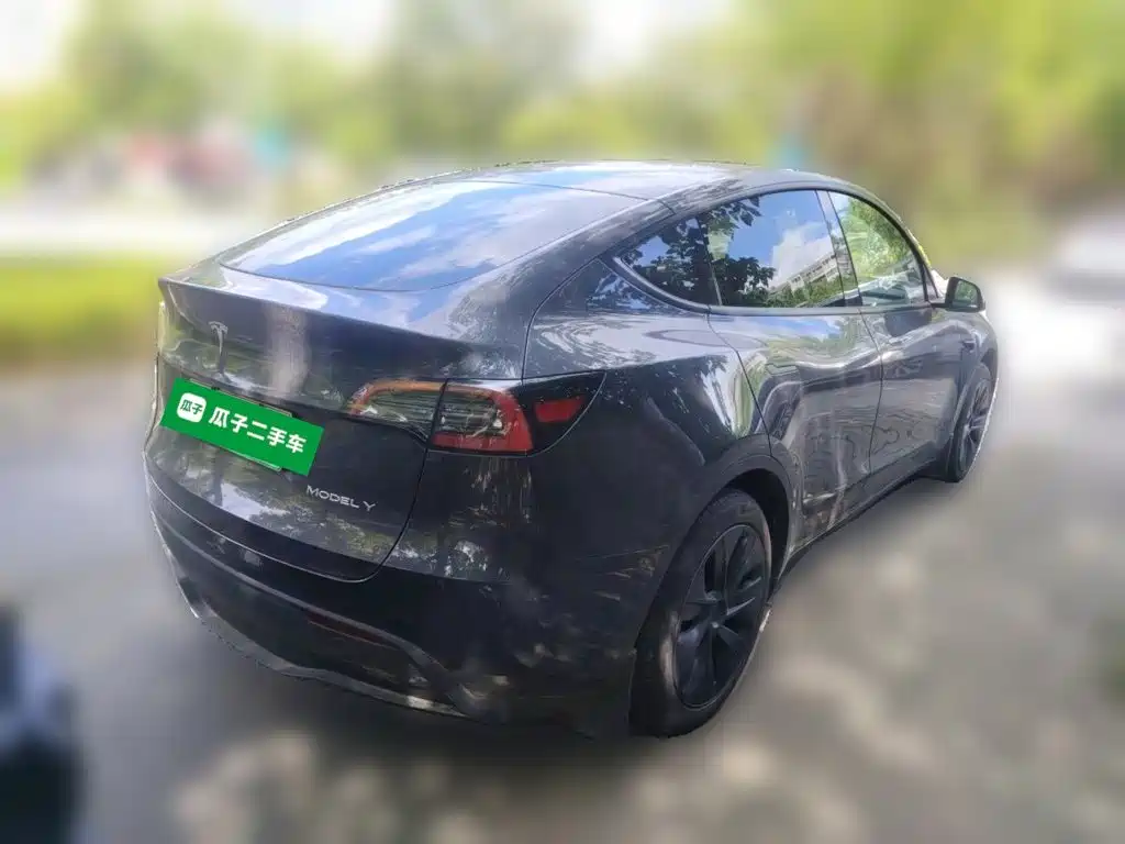 Tesla Model Y — миниатюра 6