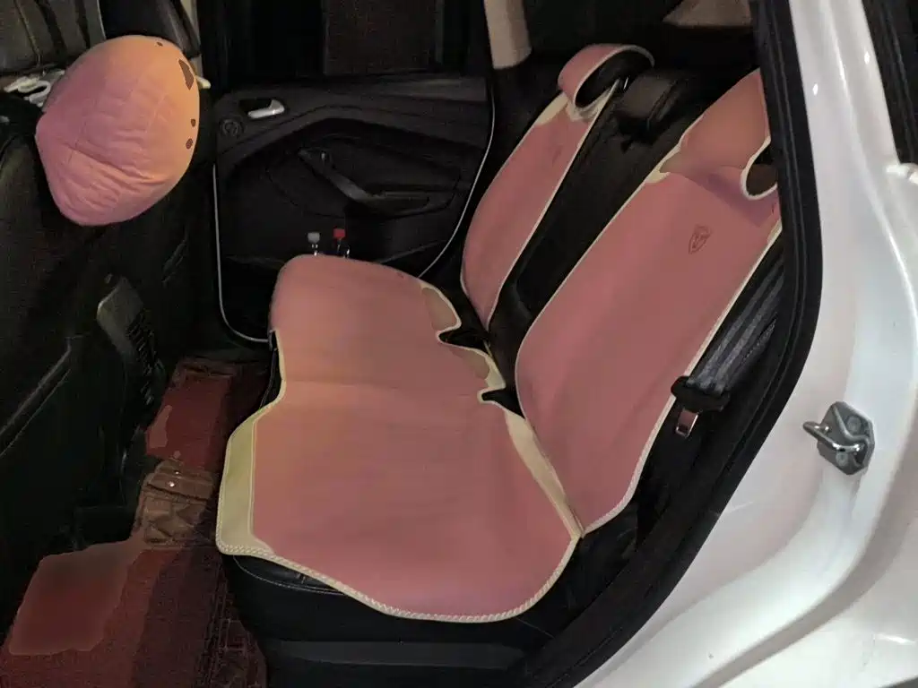 Ford Kuga — миниатюра 13