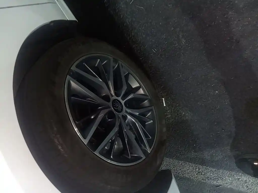 BYD Qin PLUS — миниатюра 23