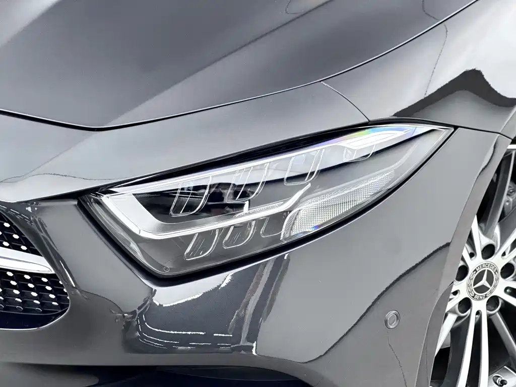 Mercedes-Benz CLS CLS 300 Dynamic Type, фото 11