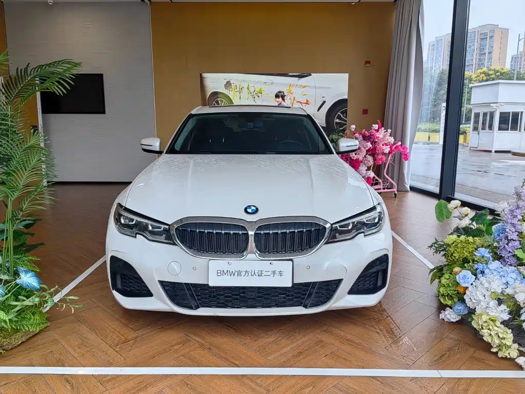 BMW 3 Series — миниатюра 2