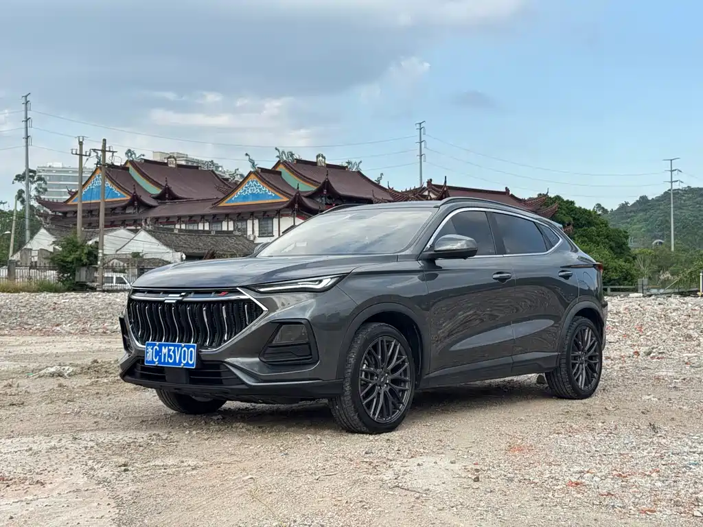 Oshan Oushang X5 — миниатюра 2