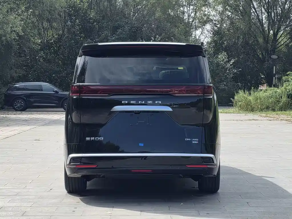 Denza Denza D9 — миниатюра 4