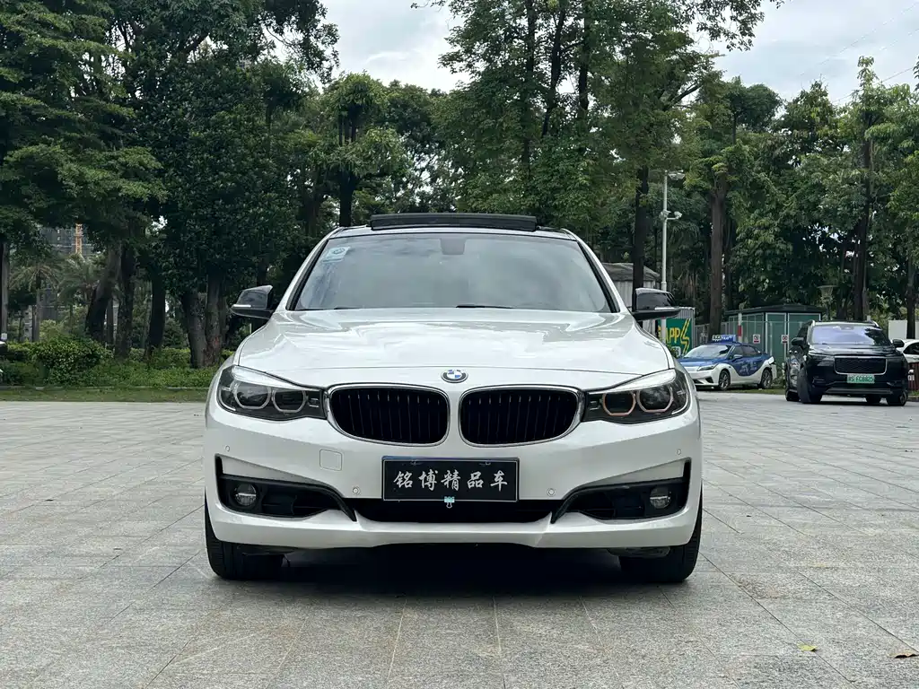 BMW 3 Series GT 320i Fashion Type, фото 2