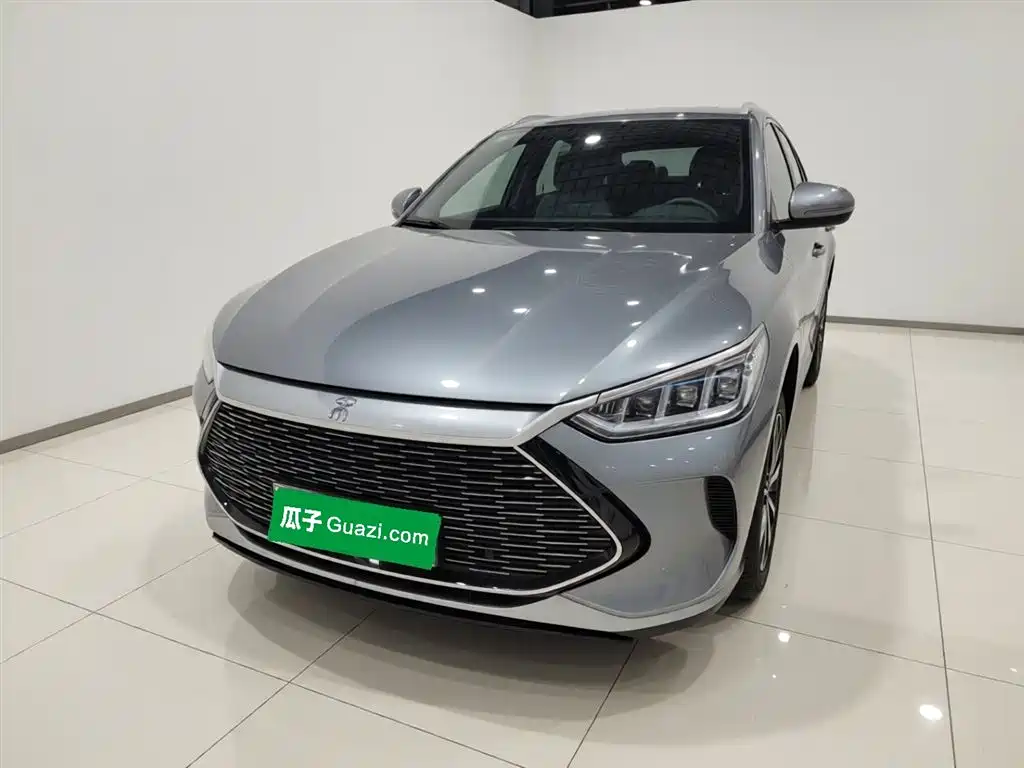 Byd PLUS New Energy 2022
