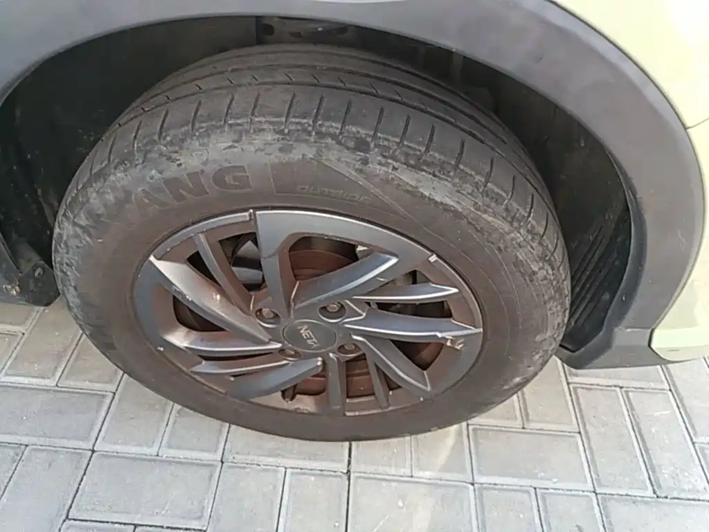 Neta Neta V — миниатюра 12
