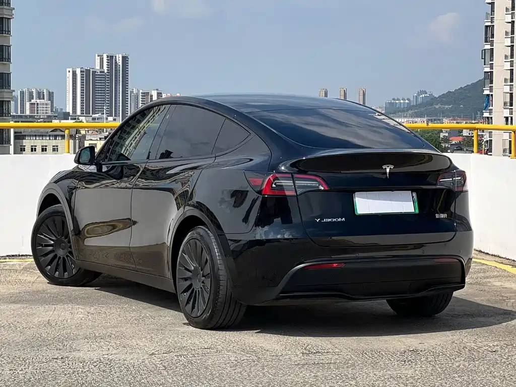Tesla Model Y — миниатюра 12