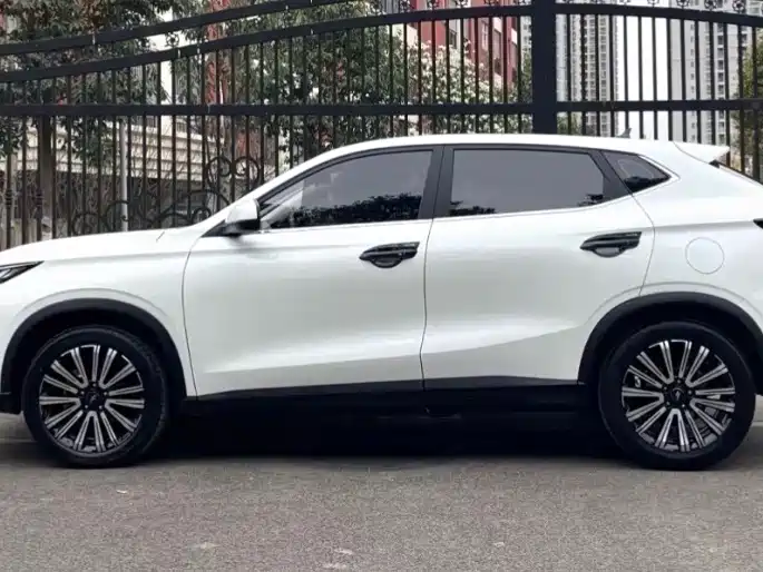 CHANGAN CHANGAN AUCHAN X5