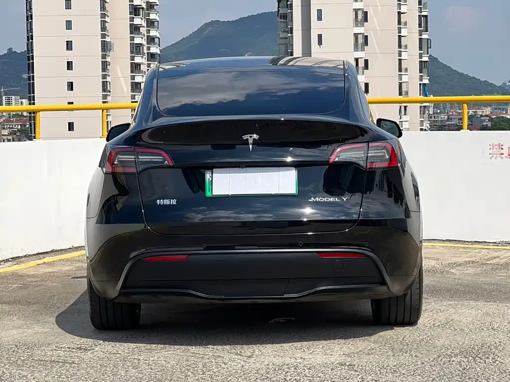 Tesla Model Y — миниатюра 13