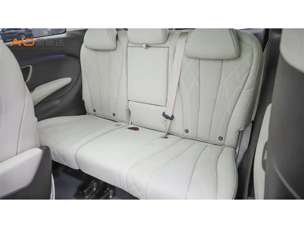 Denza D9 2025 DM-i Smart Drive 1020 Flagship