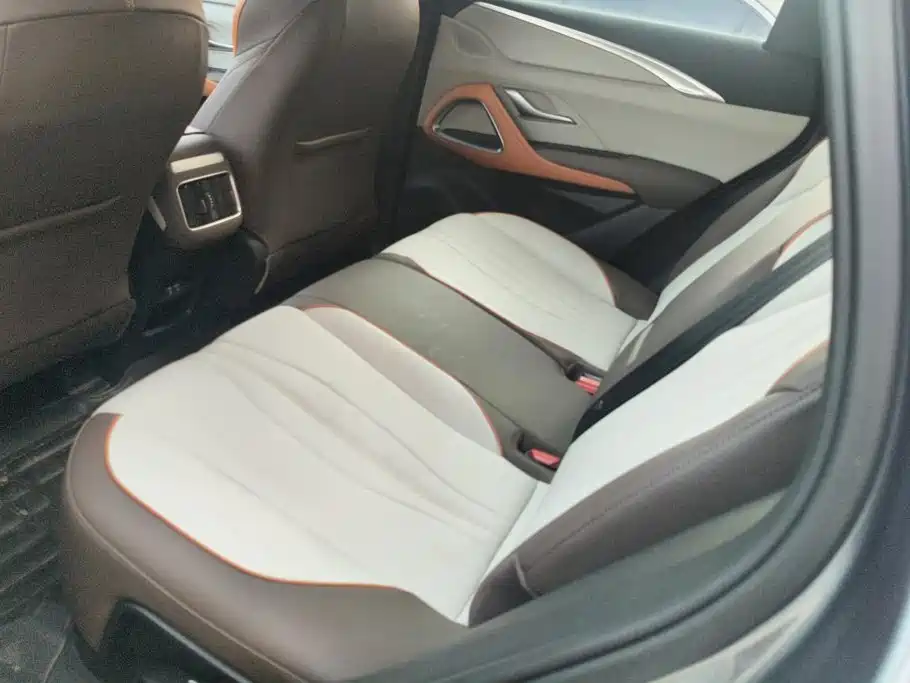 BYD Pro New Energy — миниатюра 11