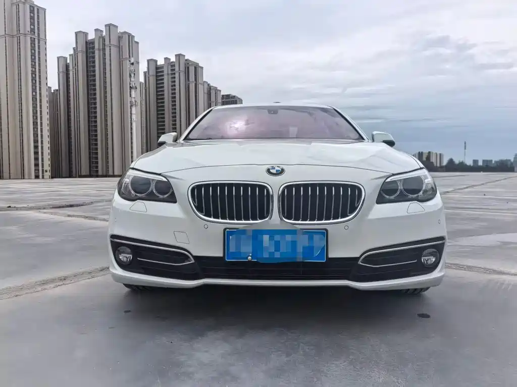 BMW 5 Series — миниатюра 5