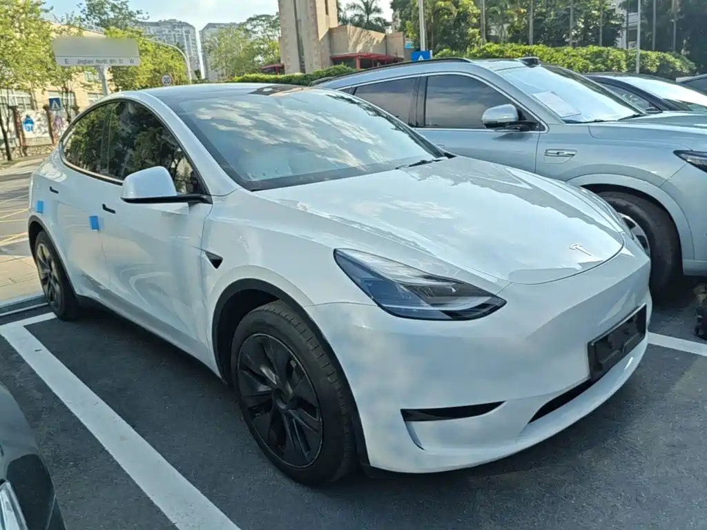 Tesla Model Y — миниатюра 4