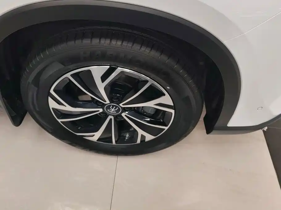 BYD Pro New Energy — миниатюра 6