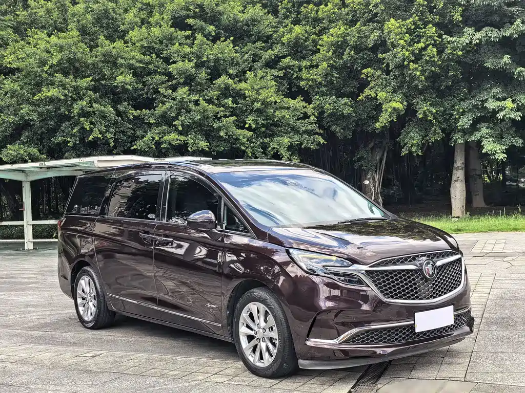 Buick GL8 — миниатюра 3