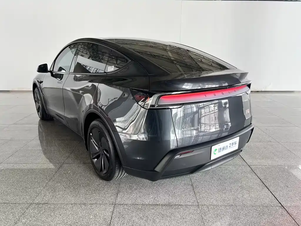 Tesla Model Y — миниатюра 4