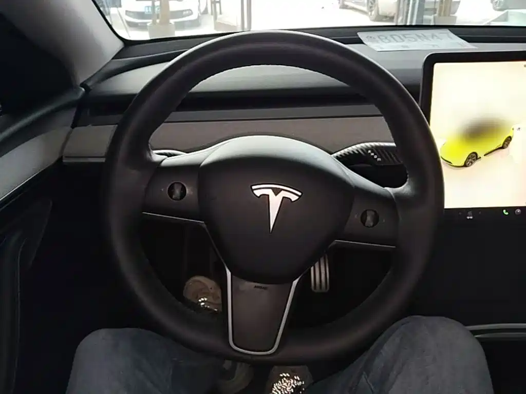 Tesla Model Y — миниатюра 11