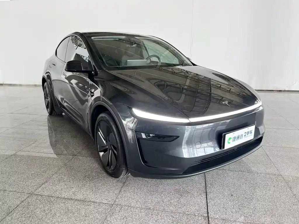 Tesla Model Y — миниатюра 5